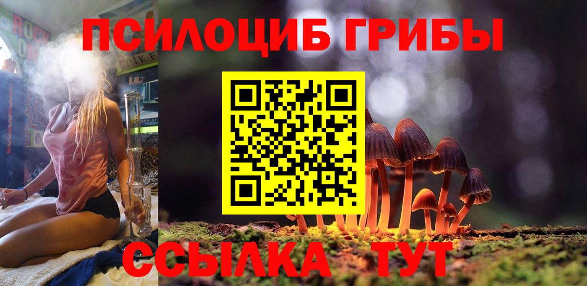 Озёрск  Галлюциногенные грибы мицелий  Вход с VPN 